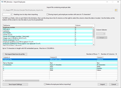 PPP Stimulus - Import Screen